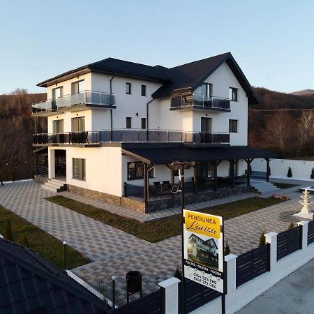 Casa De Vacanta Larisa Novaci-Straini Bagian luar foto