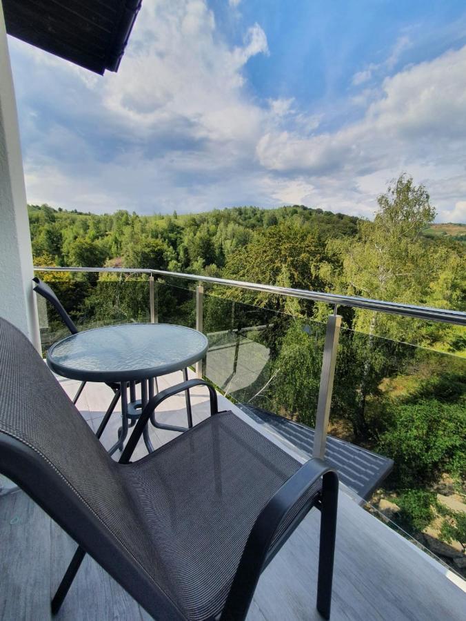 Casa De Vacanta Larisa Novaci-Straini Bagian luar foto