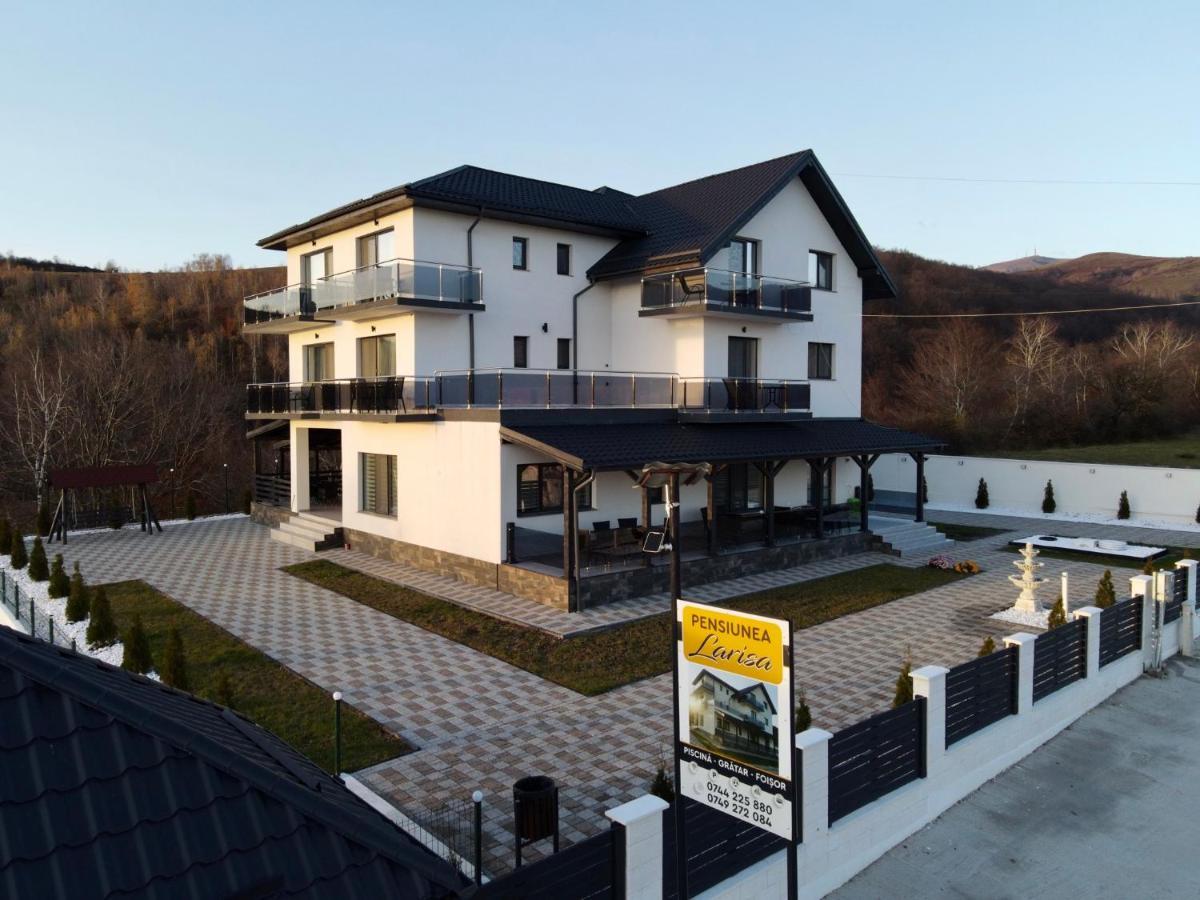 Casa De Vacanta Larisa Novaci-Straini Bagian luar foto