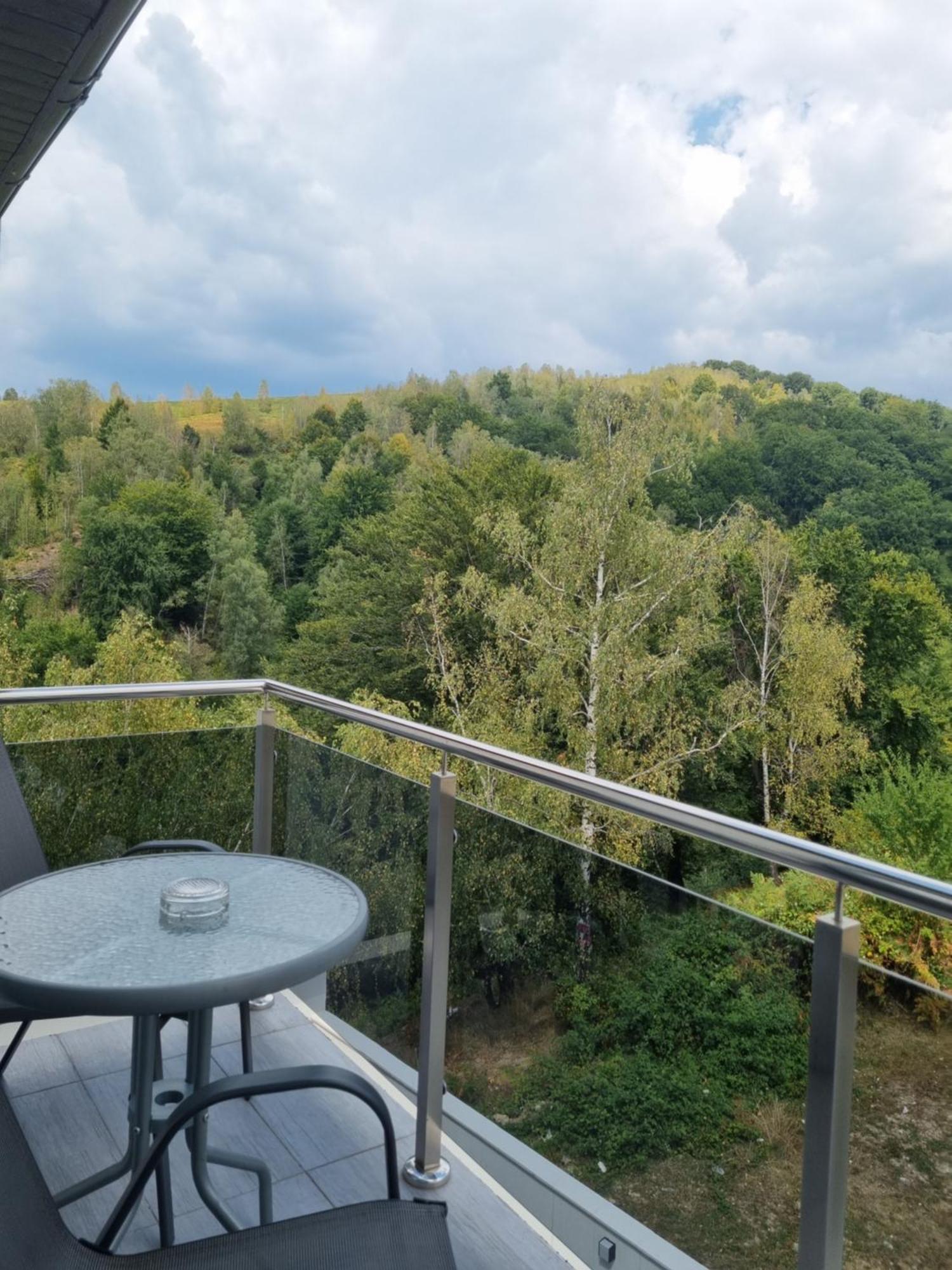 Casa De Vacanta Larisa Novaci-Straini Ruang foto